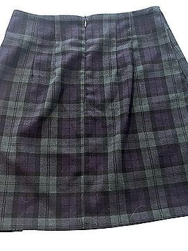 Brandy Melville Cara Casual Skirt (view 2)