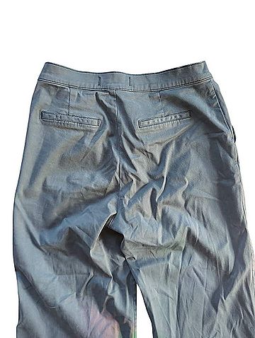 Lila Ryan Casual Pants (view 2)