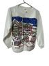 Sun Winter Wonderland Pullover Sweater - photo 1