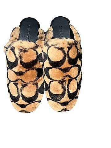 Coach Flip Flops (view 1)