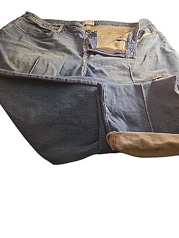 Lane Bryant Jeans (view 1)