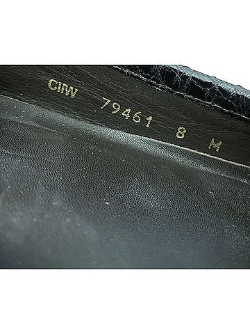 Stuart Weitzman Flats (view 2)