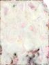 CeCe Floral Multi Color Casual Skirt Size L - photo 2