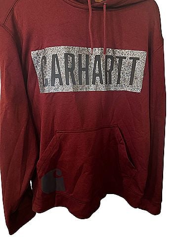 Carhartt Pullover Hoodie (view 2)