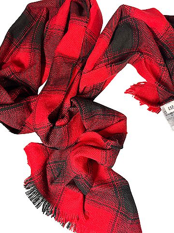 Gap Scarf (view 2)