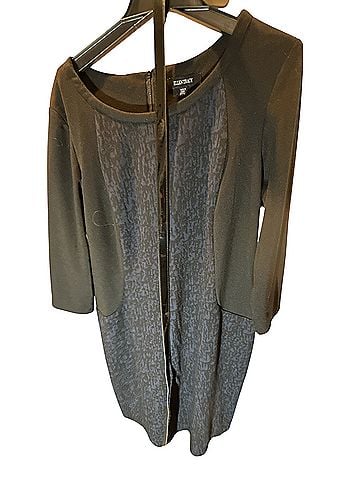 Ellen Tracy Casual Dress (view 1)