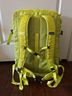 Patagonia Green Backpack One size - photo 6