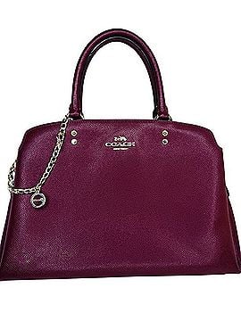 Coach Lillie Carryall Medium Leather Satchel (view 1)