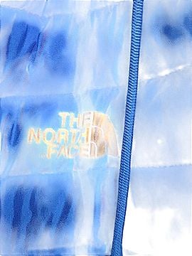 The North Face Jacket (view 2)