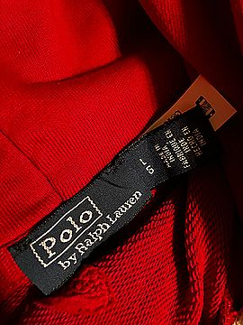 Polo Pullover Hoodie (view 2)
