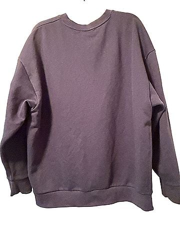 Favorite Daughter Collegiate Sweatshirt (view 2)