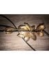 Zara Black Gold Belt One size - photo 5