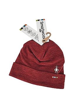 Smartwool Beanie Merino Thermal Reversible Cuffed Beanie (view 1)