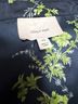 Cinq à Sept 100% Polyester Floral Multi Color Blue Green Long Sleeve Blouse Size XS - photo 7