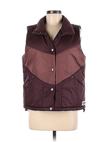 The North Face The North Face Vest (view 1)