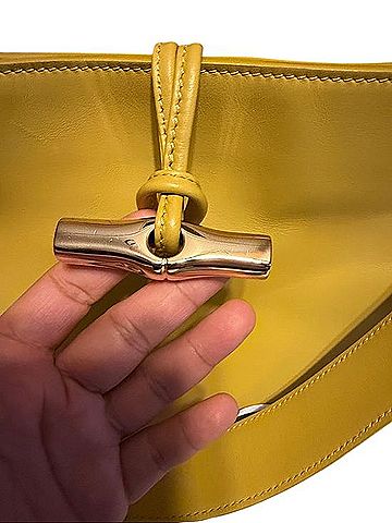 Longchamp Tote (view 2)