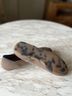 ROTHY'S Brown Flats Size 7 1/2 - photo 6