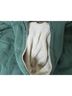 Berne Green Jacket Size XL - photo 10