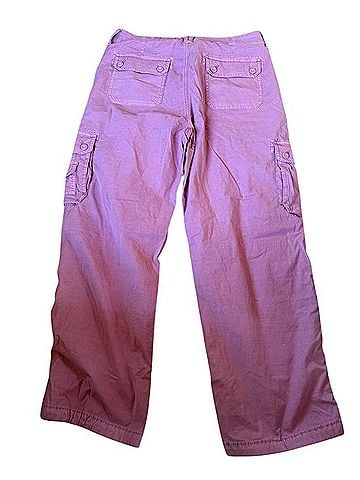 American Eagle Outfitters Cargo Pants Cargo Pants (view 2)