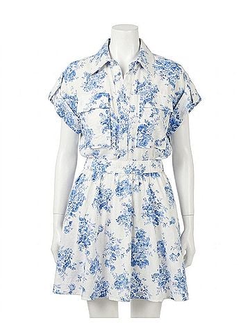 Olivaceous Chinoiserie Print Dress in Blue/White (view 1)