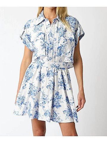 Olivaceous Chinoiserie Print Dress in Blue/White (view 2)