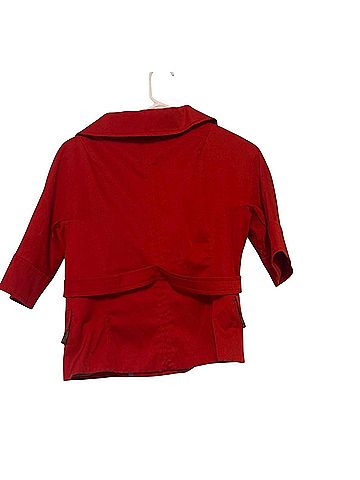 Zara Basic Coat (view 2)