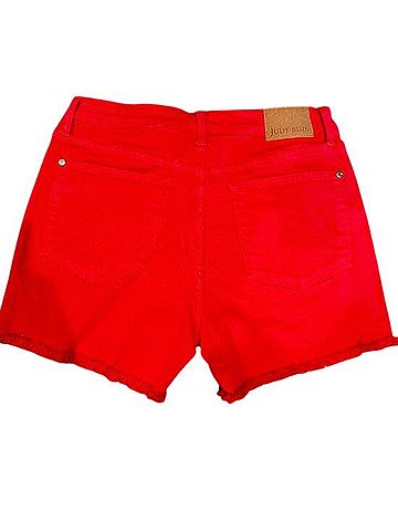 Judy Blue Denim Shorts (view 2)