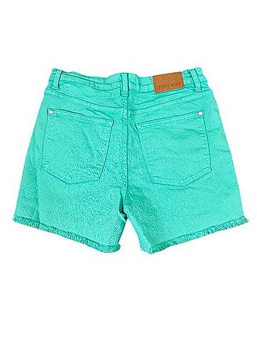 Judy Blue Denim Shorts (view 2)