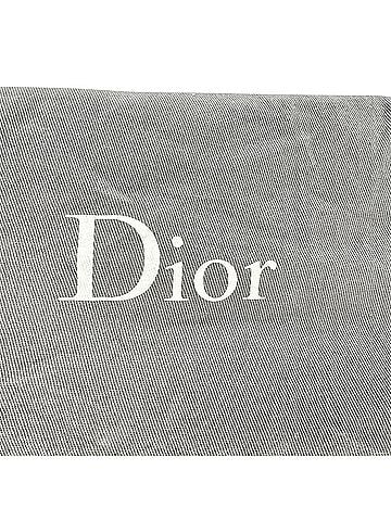 Christian Dior Christian Dior Python Flap Long Chain Clutch in Silver Leather (view 2)