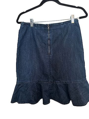 Leifsdottir Denim Skirt (view 2)