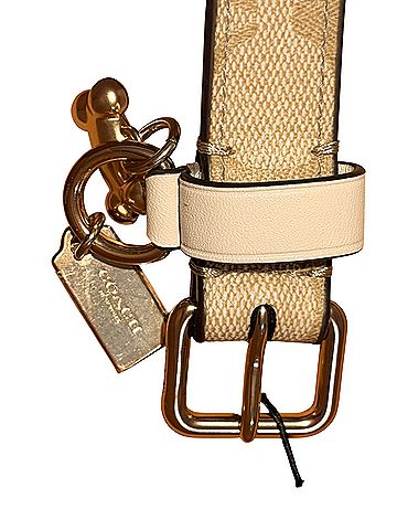 Coach Belt (view 2)