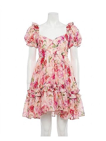 Sofie Women's Rosie Floral Dress in Pink (view 1)