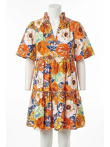 Buddy Love Bradley Swing Dress in Seeya Later (view 1)