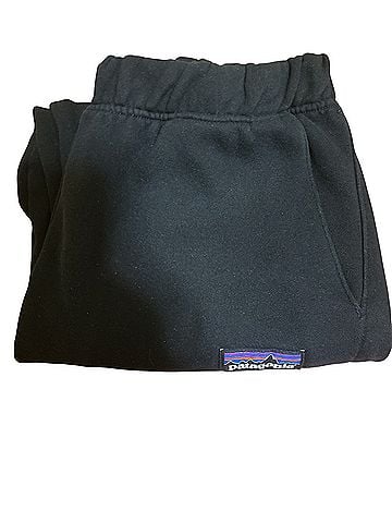 Patagonia Patagonia Sweatpants (view 2)