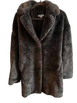 Whistles Coat (view 1)