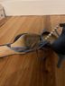 Stuart Weitzman AllPearls Bow 75 Pump Heels - photo 5