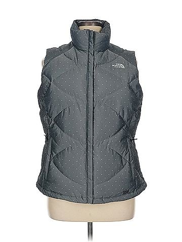 The North Face The North Face Vest (view 1)