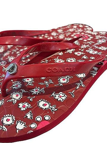 Coach Abbigail Flip Flops (view 2)