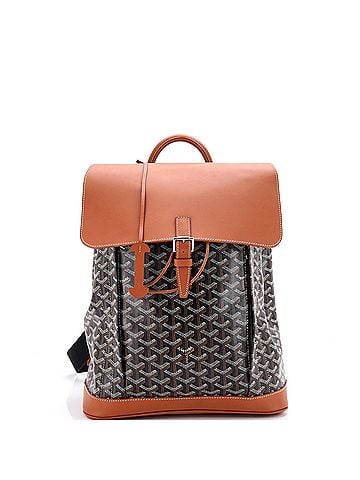 Goyard Alpin Backpack Coated Canvas MM (view 1)