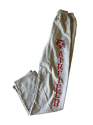 Champion Sweatpants (view 1)