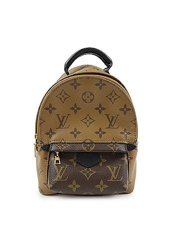Louis Vuitton Palm Springs Reverse Monogram Canvas Brown Canvas Backpack Bag (view 1)