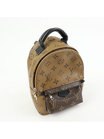 Louis Vuitton Palm Springs Reverse Monogram Canvas Brown Canvas Backpack Bag (view 2)