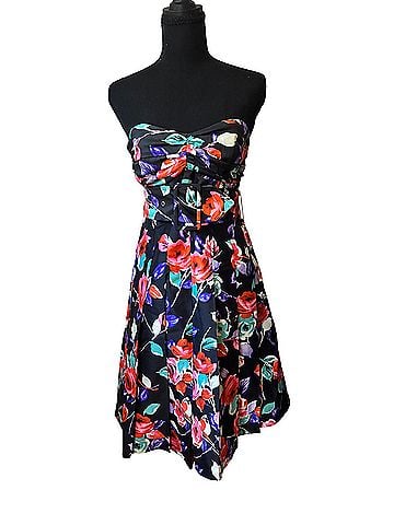Express Cocktail Dress (view 1)