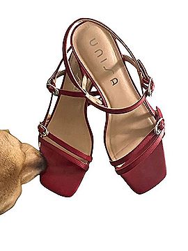 Unisa Red Strappy Low Block Heel Sandals Heels (view 1)