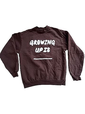 Concert Sweatshirt (view 1)