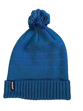 Patagonia Winter Hat (view 1)