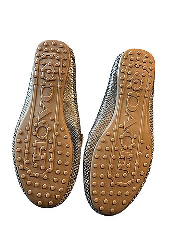 Coach Flats (view 2)