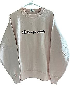 Champion Sweatshirt (view 1)