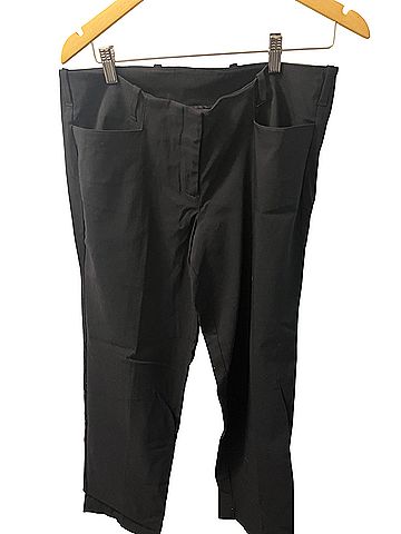 Lane Bryant The Sophie Dress Pants (view 2)