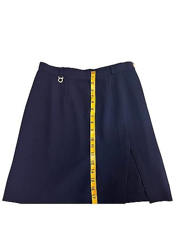 Ann Taylor Formal Skirt (view 2)